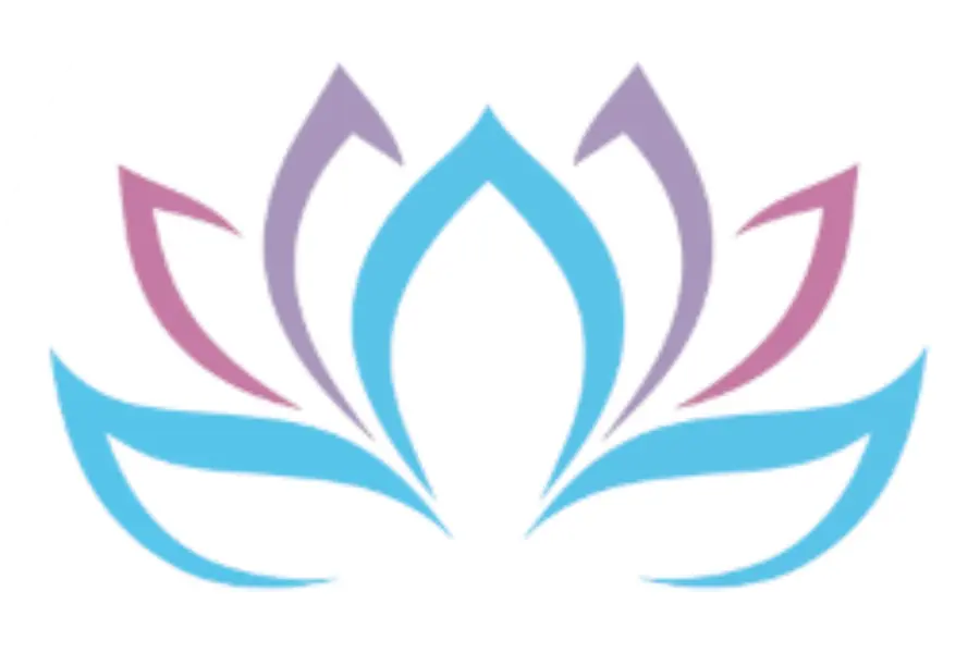 Vdt favicon logo
