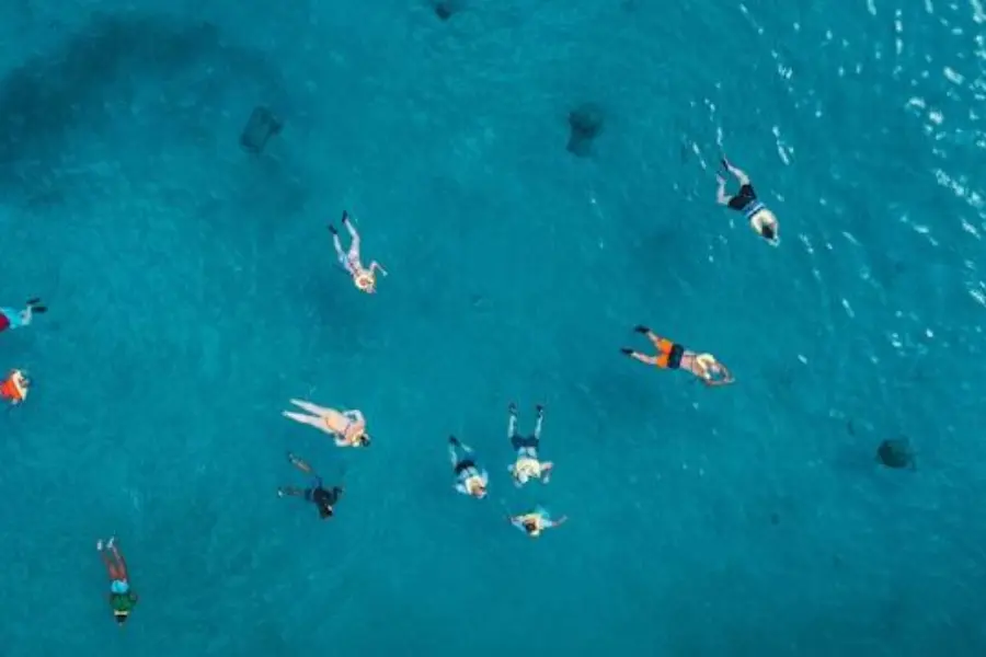 Divers