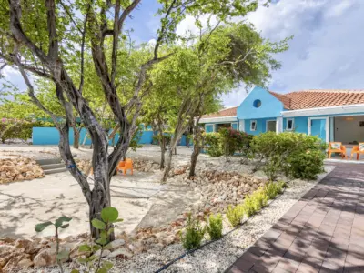 Picture110 639017076081233588