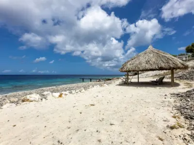 Picture110 638304229386469784